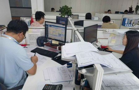 专业报关团队 / Professional Customs Clearance Team